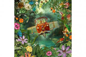 Samt-Panel Deluxe - Jungle Passenger 