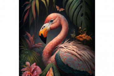 Samt-Panel Deluxe - Fantastic Flamingo 