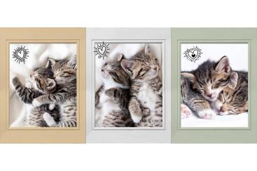 Panel - 3 Motive - Miezekätzchen 