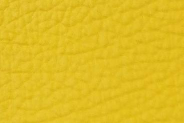 Sunny Yellow