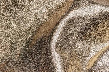 Ziegenleder Deluxe - Glam - Gold 