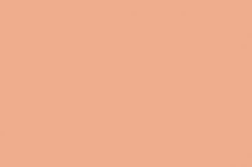 Beige/Apricot