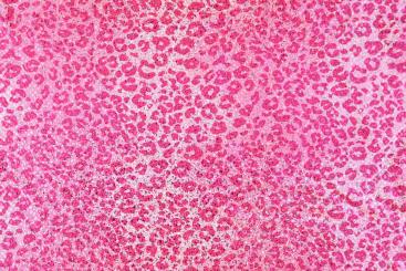 Tanzkleiderstoff - Hologramm-Effekt - Babyleopard Pink 