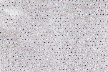 Tanzkleiderstoff - Hologramm-Effekt - Pünktchen - Weiß/Silber 