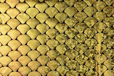 Tanzkleiderstoff - Hologramm-Effekt - Goldfisch 