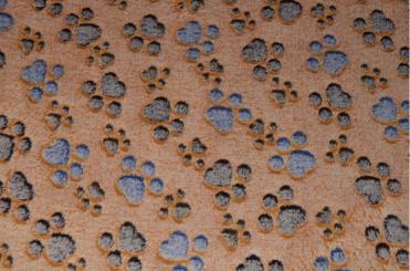 Kuschel-Fleece - Kleine Pfoten 