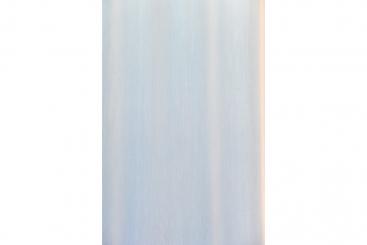 Voile Helsinki - 300 cm - Bleiband - Weiß transparent 