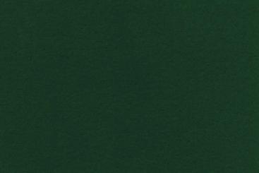 Türvorhangstoff Arktis - 1,0 Meter Tanne