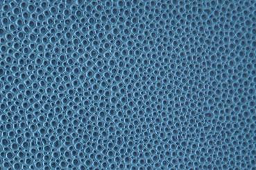 Blau