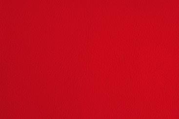 Rot