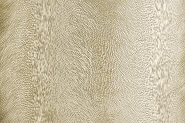 Hellbeige