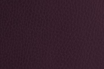 Aubergine