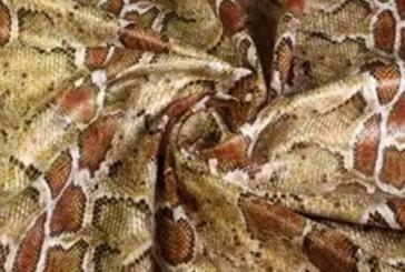 Elastik-Kunstleder - Snake - Braun 