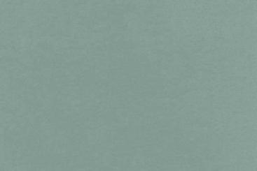Dusty Mint