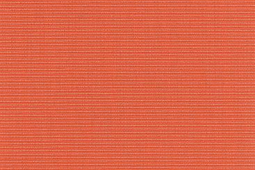 Orange/Apricot