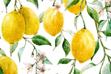 Outdoorstoff Deluxe - Viva la Lemon 