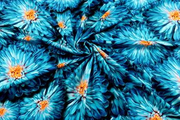 Jersey Stoff mit blauen Blumen 