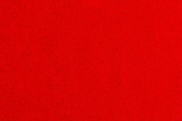 Rot
