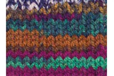 Strickwolle Bravo - XL-Knäuel 200 g - Bunt Tropical