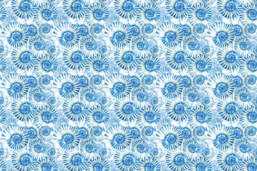 Frottee mit Fleece - Seashells 