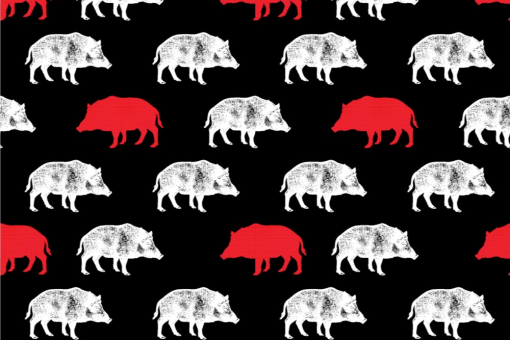Kuschel-Fleece - Wildschweine Schwarz
