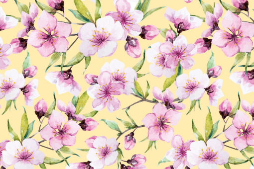 Softshell Premium - Sakura-Kirschblüte Vanille 
