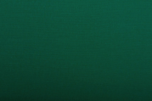 Baumwollstoff - 240 cm breit Grün