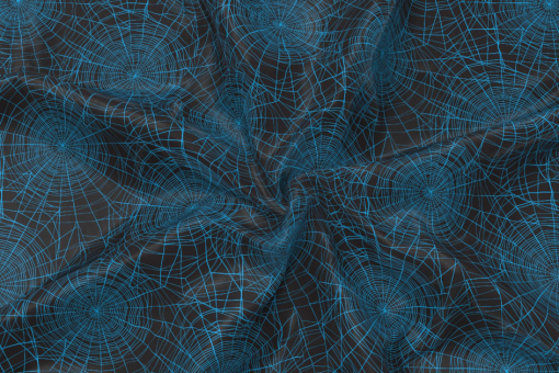 Allround - Spinnennetz Schwarz/Blau
