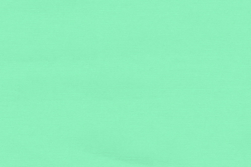 Baumwoll-Canvas - Uni Mint