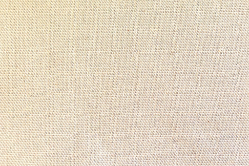 Canvas-Baumwollstoff - 280 cm breit Ungefärbt