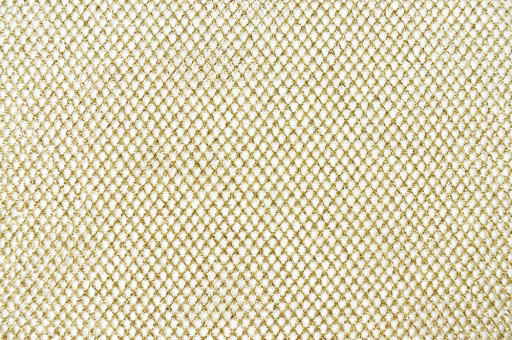 Gittertüll Metallic - Gold 