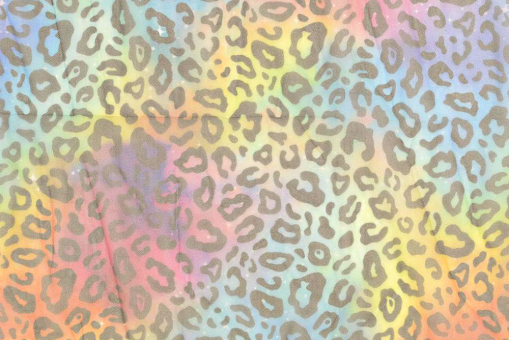 Mesh Print - Regenbogen-Leopard 