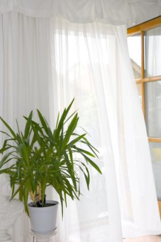 Voile mit Bleiband - 300 cm 