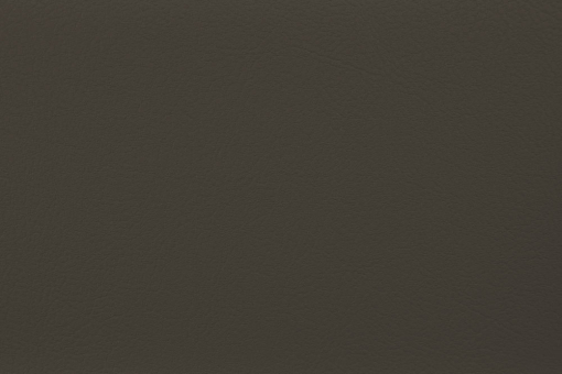 Outdoor-Lederimitat Premium Graphitgrau