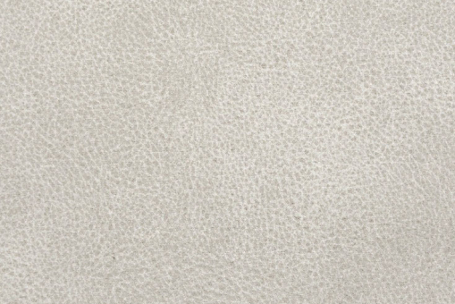 Kunstleder - Pet Proof Sand