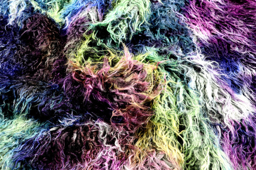 Zottelfell in verrückten Farben 