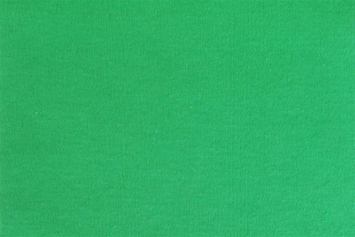 T-Shirt Stoff - extraschwer Grün