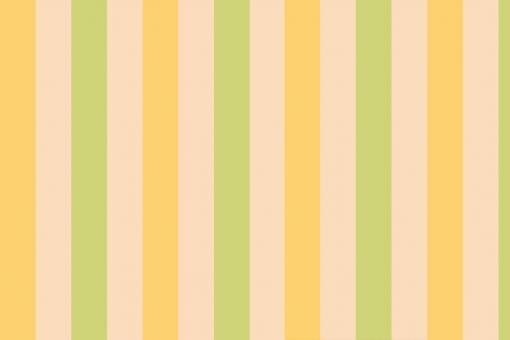 Dekostoff - Blockstreifen dreifarbig - 6 cm breit Gelb/Grün