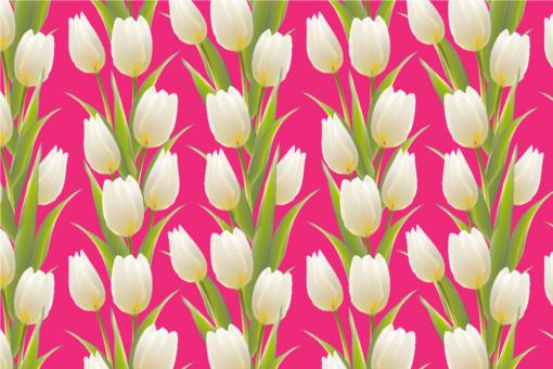 Tulpen - Dekostoff Pink
