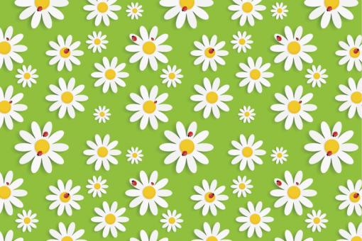 Wellness-Fleece - Margerite und Marienkäfer Grün