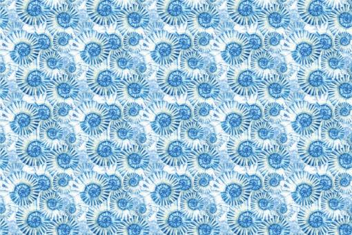 Frottee mit Fleece - Seashells 