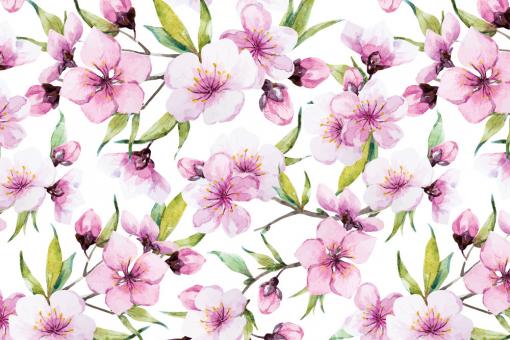 Softshell Premium - Sakura-Kirschblüte Weiß
