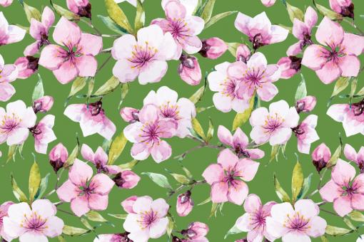 Softshell Premium - Sakura-Kirschblüte Frühlingsgrün