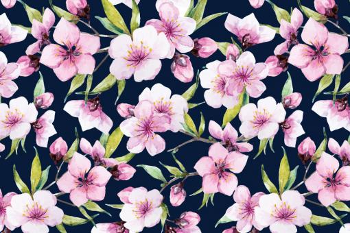 Softshell Premium - Sakura-Kirschblüte Nachtblau
