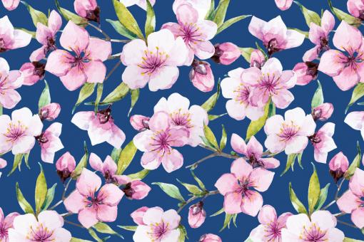 Softshell Premium - Sakura-Kirschblüte Blau