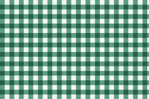 Outdoor-Stoff - Teflon - Vichy Karo Weiß/Tannengruen
