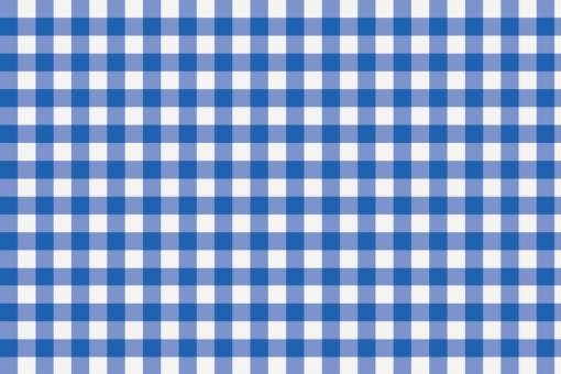 Outdoor-Stoff - Teflon - Vichy Karo Weiß/Royalblau