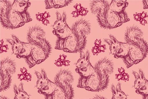 Squirrels - Dekostoff Rosa
