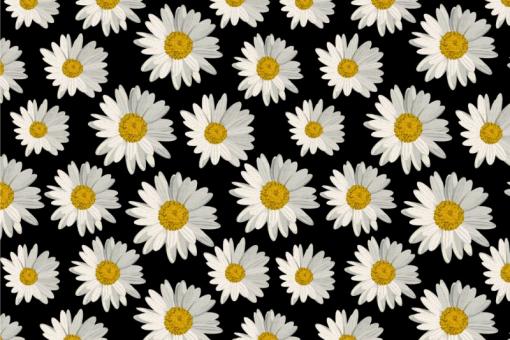 Deko-Stoff - Daisy Flowers Schwarz