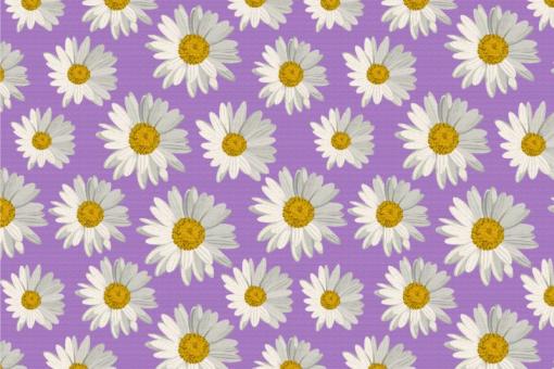 Deko-Stoff - Daisy Flowers Lila